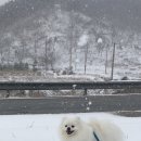 허그안리트릿 네이버블로그