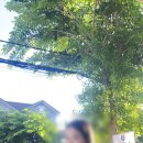 행복한베트남 국제결혼 이미지