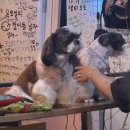 (주)노리아 | [문정] 술노리아