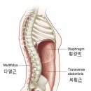 LICA·NEAT와 건강·장수 이미지