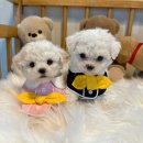 연제구-045 이미지