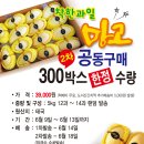 착한과일