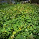 달빛민박 이미지