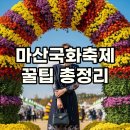 회원동235 | 마산가고파국화축제 2025, 일정과 주차 꿀팁 대방출!