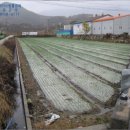 함양농협주유소 이미지