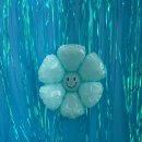 동글동글 애견미용실 이미지