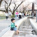 수안보로 이미지