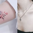 일육이드롭 이미지