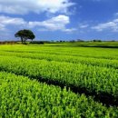 신화역사로 이미지