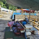 해녀촌식당 | [부산 태종대] 해녀촌 식당 방문 후기