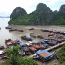 니가올래내가갈까 이미지