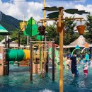 밀양숲속마을영농조합법인 이미지