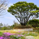 안산농원