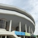 덕수린 | [잠실]겁쟁이 수린이의 와이낫다이브 프리다이빙 체험 후기(왕초보주의)