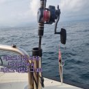 CU 커피와현모래숲점 | 거제 빅게임 방어 낚시 - 지세포항 블루호