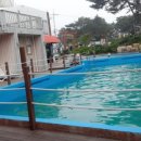 노을에 기댄 언덕 이미지