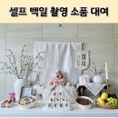 셀프 백일상 대여 차림 백일떡 종류 의미