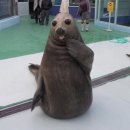 흐를 류 이미지