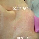 페이스앤바디 네이버블로그