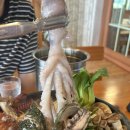 강화도 뷰 맛집 등나무 가든 두돌아기랑 다녀온 후기/ 해신탕