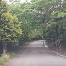 주작산자연휴양림 이미지