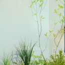 이음한의원 | 실내 조화 조경 서울 강서구 한의원 인테리어 작업