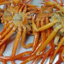 수정김밥 이미지