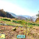 명곡동326 이미지