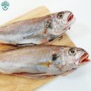 제일개소주