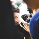 박동물병원 이미지