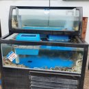 고파도박속낙지 | 연포탕 낙지탕 맛집 낙지요리맛집 낙지효능 고파도박속낙지🐙🐙🐙