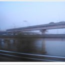 대보천 제방도로 이미지