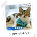 아임2스튜디오 이미지