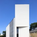 펫포레스트 이미지