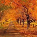 가을에 아름다운 것들 - 정유찬 이미지