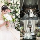 비비안웨딩 본식스냅 가격 후기 짝꿍코드 7만원 할인 페이백