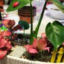 동산마을노인정 이미지