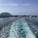 다담대통 | 제주 동쪽 여행 부숴 버리기 - (3/3) 뽕: 뽑혀줄게