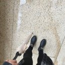꼬마마리스시 - 목포시 영산로245번길 26 | 쥔장 : 노량진 맛집 스시101 내돈내산 방문 후기