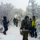 12월30~1월1일(1박2일) 제주도 한라산 백록담 일출산행, 윗세오름 눈산행 이미지