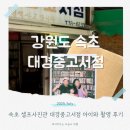 대경호텔 | 속초여행 대경중고서점 셀프사진관 후기 속초중앙시장 놀거리