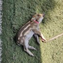 대불주거2로 이미지