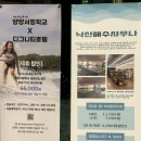 호텔159 | 강원도 양양 가족여행 6인 대가족 숙소 디그니티호텔 로얄 스위트룸 내돈내산 이용 후기