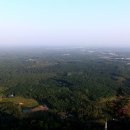 나무농장 이미지