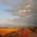 황금뜰 - 안산시 상록구 | 황금뜰