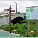 용봉초교 이미지