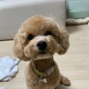 진서동물병원 이미지