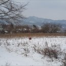옥천군이원면원동보건진료소 | [2017타경58] 충북 옥천군 이원면 원동리 735 &lt;&lt;창고경매&gt;&gt; [더에이스]