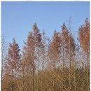 소진펜션 이미지