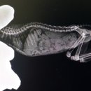 손수의과병원 이미지